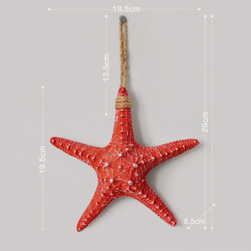 Sea Shell Wall Adornments
