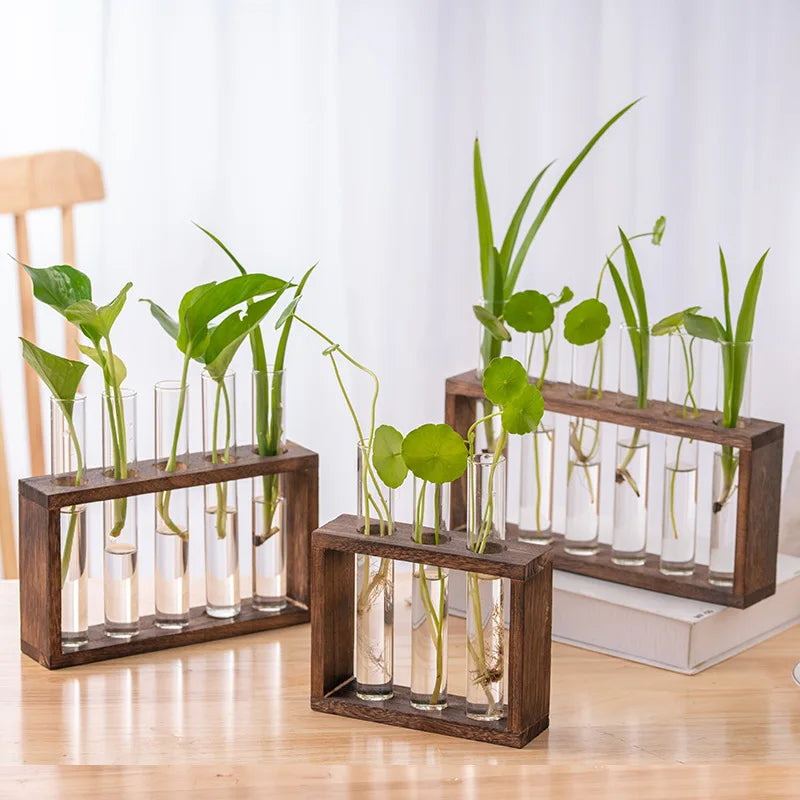 Test Tube Wooden Frame Vase