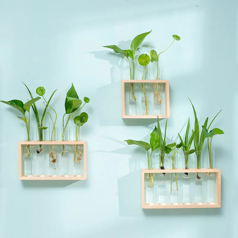 Test Tube Wooden Frame Vase