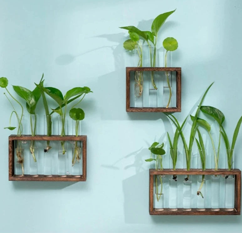 Test Tube Wooden Frame Vase