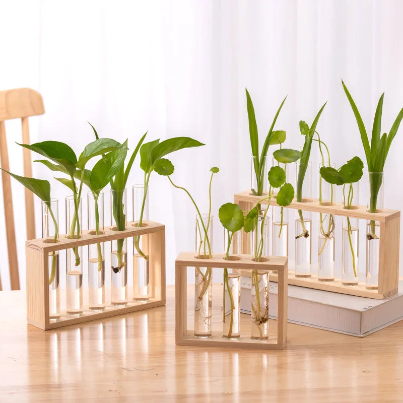 Test Tube Wooden Frame Vase