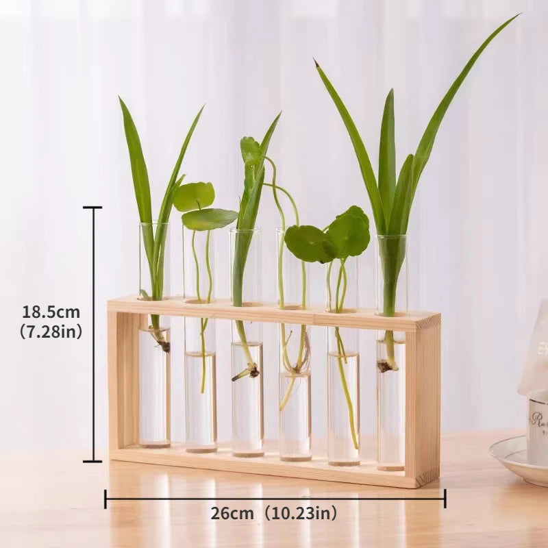 Test Tube Wooden Frame Vase